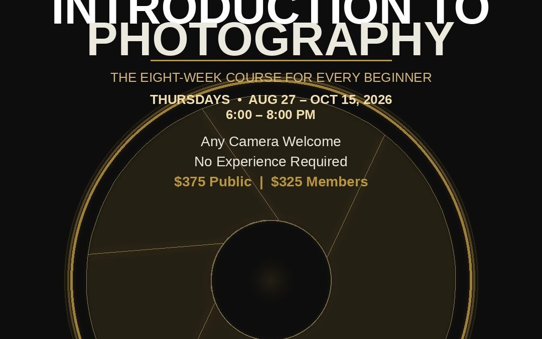 Introduction to Photography