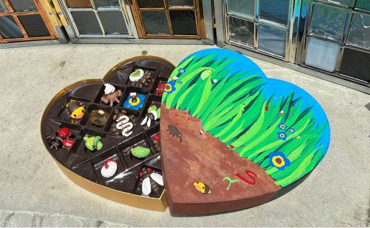Intro to Mixed Media with Riley Motisi