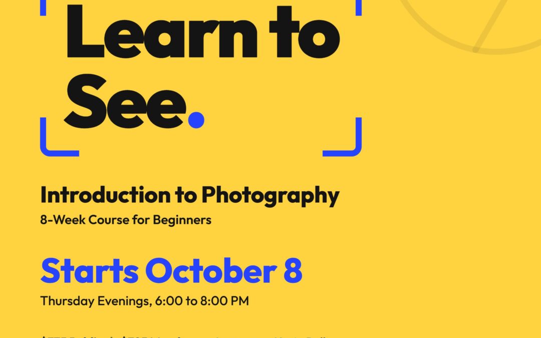 Introduction to Photography